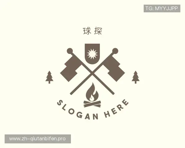 了解球探